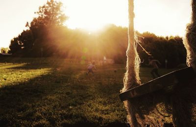 Sun shining through trees on field during sunset