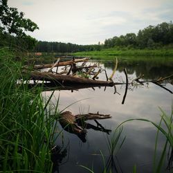 Scenic view of lake against sky