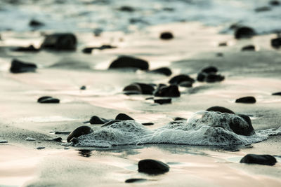 Close-up of rocks on shore at beach during sunset