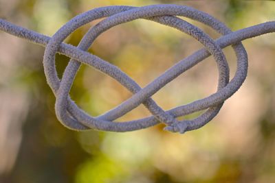 Close-up of metal fence against blurred background