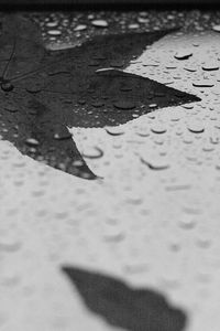 Close-up of puddle on sand