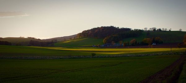 Scenic view of rural landscape