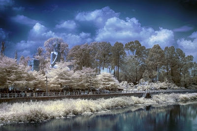 Trees by lake against sky during winter