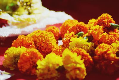 Close-up of yellow marigold flowers