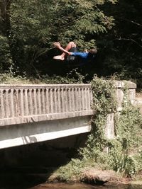 Full length of man jumping on tree