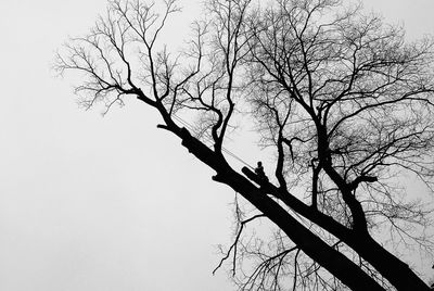 Low angle view of bare trees against sky