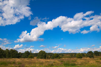 Scenic view of field against blue sky