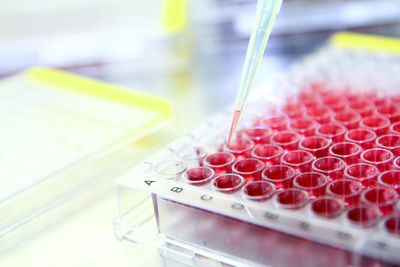 Close-up of test tubes at laboratory