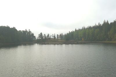 Calm lake with trees in background