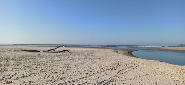 Scenic view of beach against clear blue sky