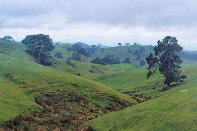 Scenic view of green landscape against sky