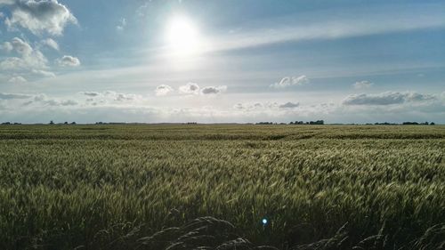 Scenic view of field against cloudy sky