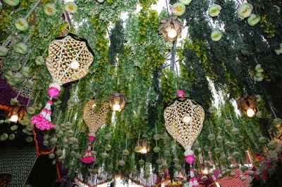 Close-up of christmas decorations hanging on tree