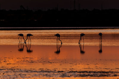 Scenic view of lake during sunset