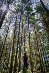 Low angle view of woman standing amidst trees in forest