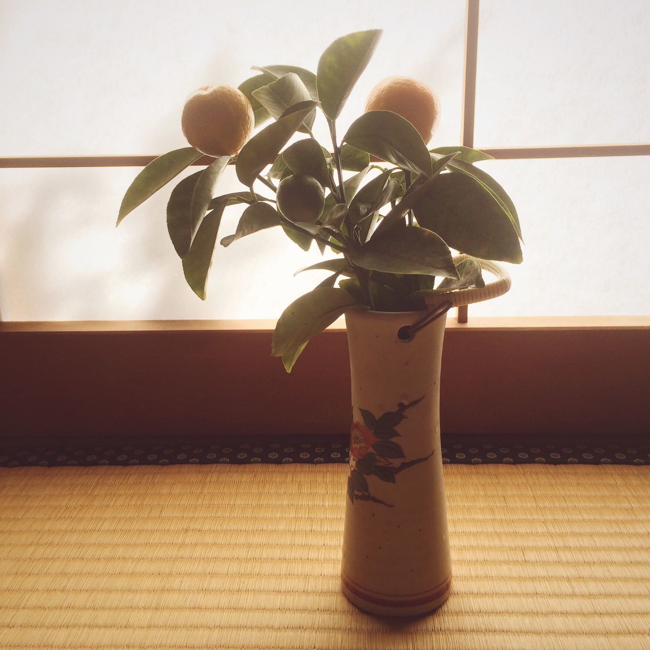 indoors, potted plant, plant, growth, home interior, wall - building feature, window, leaf, close-up, vase, nature, no people, wall, table, sunlight, built structure, window sill, decoration, day, focus on foreground