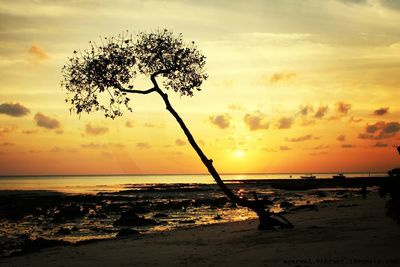 horizon over water