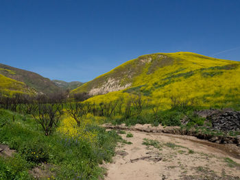 Scenic view of landscape against clear blue sky