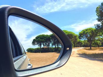 Reflection of trees on side-view mirror of car