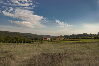 Scenic view of field against sky