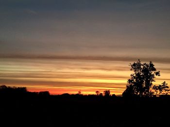 Silhouette trees on field against sky during sunset