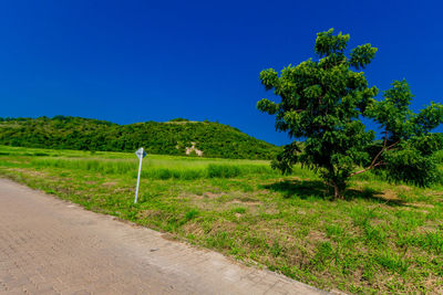 Scenic view of field against clear blue sky