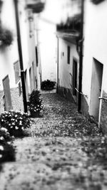 Narrow alley along buildings