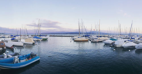 Sailboats moored in harbor