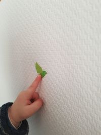 Close-up of hand holding leaf