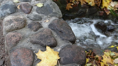 Close-up high angle view of stream