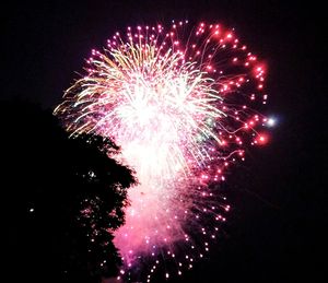 Low angle view of firework display at night