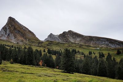 Scenic view of field against sky and  mountains 