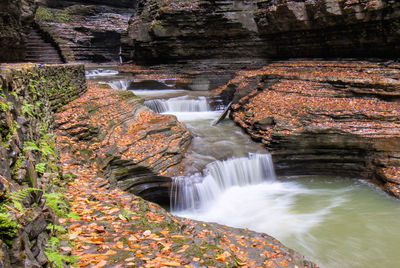 Stream at forest