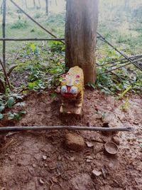 View of child on tree