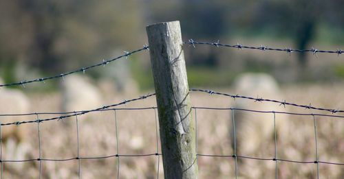 Close-up of fence against sky