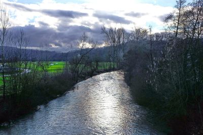 Scenic view of river amidst trees against sky