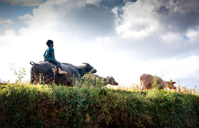 Young man sitting on grass at field against sky