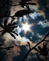 Low angle view of silhouette tree against sky at sunset