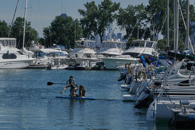 Boats moored at harbor against sky