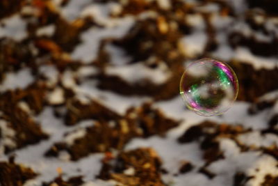 Close-up of bubbles in park