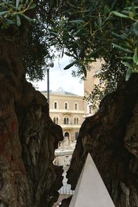 Low angle view of a building