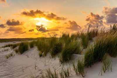 Scenic view of beach against sky during sunset