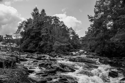 Scenic view of waterfall in forest against sky