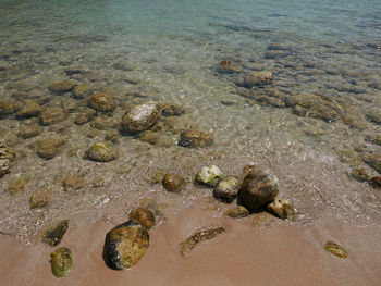 High angle view of crab on beach