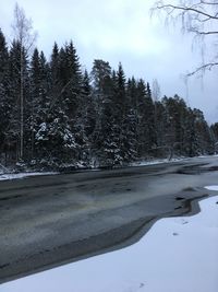 Scenic view of trees against sky during winter