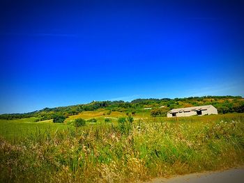 View of field against clear blue sky