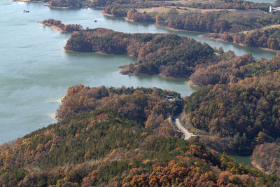 High angle view of lake and trees