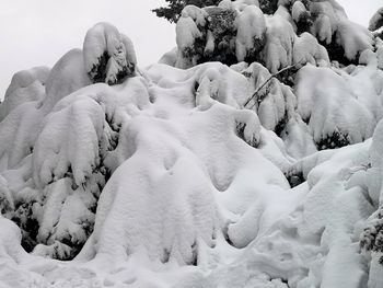 Snow covered land