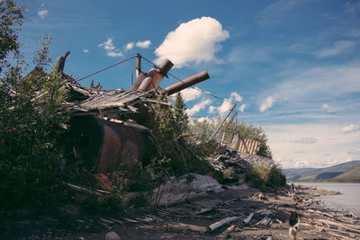 Dog walking by shipwreck at beach against sky