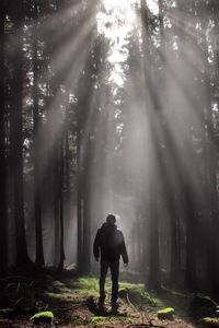 Rear view of man standing in forest